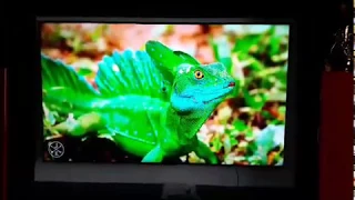 SONY KD-55XE9005 TV LED 2017 4K