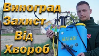 Обробка винограду від хвороб. План обприскування винограду увесь сезон. Мільдью, Оїдіум, Антракноз