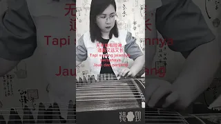 Zai Shui Yi Fang - Teresa Teng - Guzheng Cover 在水一方- 邓丽君 - 古筝