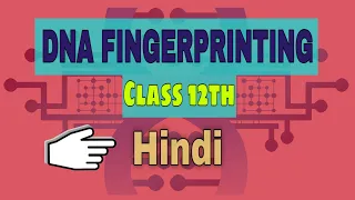 DNA Fingerprinting | DNA Fingerprinting class 12 | Be Educated