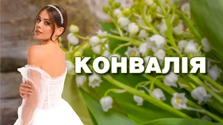 Конвалія - Влад Комар