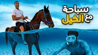 تحدي السباحة مع أشرس خيل !! (كسر سيارتنا !! 🤯) | HORSE CHALLENGE