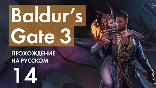 Прохождение Baldur's Gate 3 - 14 - Наёмники Зентарима и Гноллы