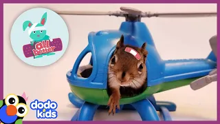 All Better Rocky — Rescuer Solves Tiny Squirrel's Mystery Sickness | All Better | Dodo Kids