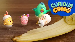 Curious Como | Banana + More Episodes 13min | Cartoon video for kids | Como Kids TV