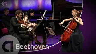 Beethoven: Piano Trio in D major, “Ghost” - Harriet Krijgh & Friends - Live HD