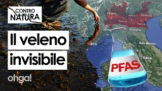 PFAS in Veneto e Lombardia, un'eredità TOSSICA nel SANGUE delle persone