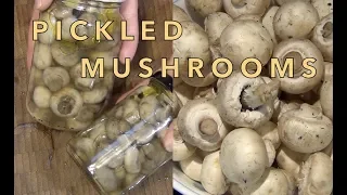 How to Pickle and Preserve Mushrooms, money saving ideas Cheekyricho cooking video recipe ep.1,292