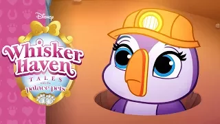 Tunnels of Fun | Whisker Haven Tales with the Palace Pets | Disney Junior