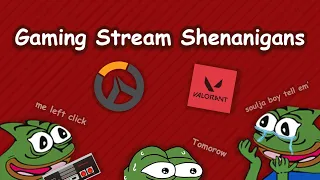 Gaming Stream Shenanigans [Funny Moments]