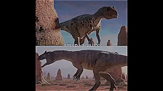 Allosaurus vs Saurophaganax // Idfc