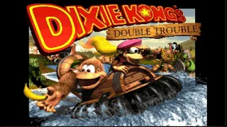 DONKEY KONG COUNTRY 3: DIXIE KONG'S DOUBLE TROUBLE! 1996 SNES - FULL GAME