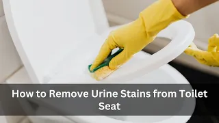 How to Remove Urine Stains from Toilet Seat