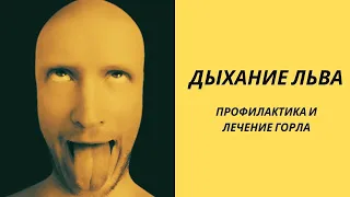 Дыхание льва - профилактика и лечение горла (тонзиллита)