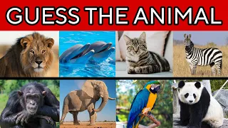 Guess 100 Animals in 3 seconds | Animal Quiz