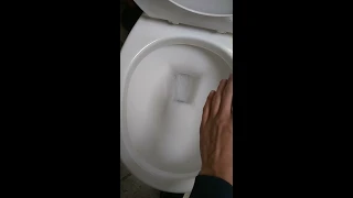 2018 Glacier Bay High Efficiency Toilet at Shell