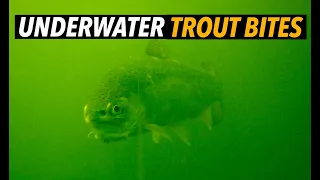Trout Trolling: Flasher & Worm (Underwater Video!)