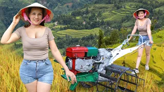 Single mom repairs and restores old agricultural tractors for an elderly farmer