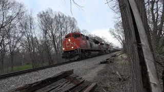 Surprise stack mixed freight, fast autorack with NS power, and CN ethanol train with critters!