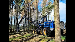 🌲*THE biggest Swede* • Rottne H21-D 8WD • Holz-Winter • Biggest Harvester • Harvesteraction • #1 🌲