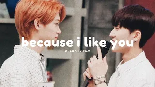 because i like you ✘ changlix