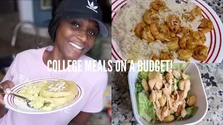 EASY MEALS FOR BROKE COLLEGE STUDENTS! (Budget Friendly) | toldbyashley