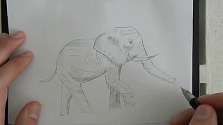 Как нарисовать слона карандашом за 15 минут?