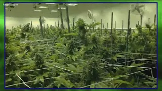 Legal marijuana bill moves forward in legislature