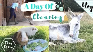 Vlog | A Day of Cleaning the Pets  + Photoshoot Prep! | This Esme