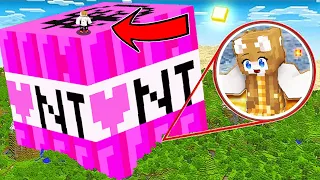 Minecraft, Exploding Mega Giant TNT's!!!