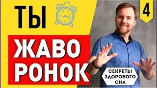 ТЫ-ЖАВОРОНОК! Секреты Здорового Сна [СЗС-4] Тимофей Стадник