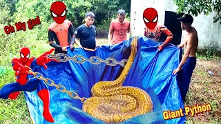 Spider-Man Combines With Hunters To Catch Giant Snake Monsters | Giant Snake