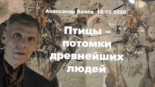 Птицы - потомки древнейших людей! Александр Белов 18 10 20