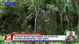 'Di dapat masira ang yamang-kalikasan ng Masungi Georeserve — Sen. Binay | 24 Oras