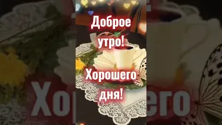 ДОБРОЕ УТРО🌷ХОРОШЕГО ДНЯ #short #shorts #shortvideo #shortsvideo