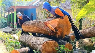 Operator Until Overwhelmed‼️Super Large Acacia Wood, Strongest STHIL Chainsaw