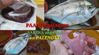 PAANO makakasiguradong sariwa ang ISDA na mabibili mo sa PALENGKE?🤔 - kaunting kaalaman