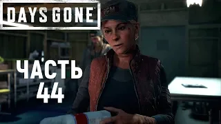 Days gone|Жизнь после прохождение➤Часть 44➤Силикогель и полистирол.