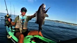 Catching big fish on a kayak - offshore kayak fishing