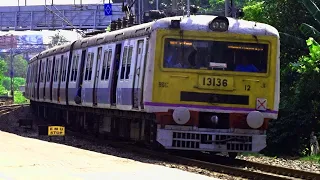 Howrah barddhaman Viya Man local emu