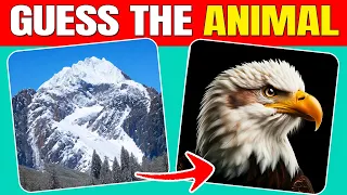 Guess the Hidden Animals by ILLUSIONS 🐯🦅🦌| Easy, Medium, Hard levels | Quizzer Odin