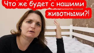 VLOG Что ж нам делать в случае войны...