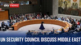 UN Security Council meeting discussing Middle East, Gaza and Israel-Hamas war