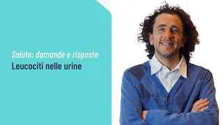 Leucociti nelle urine: quando preoccuparsi