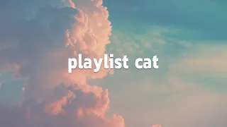 Playlist Cat | songs to pass the time (pop, and other genres)