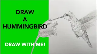 Draw a Hummingbird in real time!