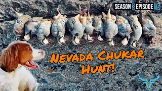 Chukar Hunting Amongst The Cliffs