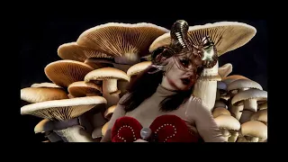 Björk - Sorrowful Soil (Pt.1)