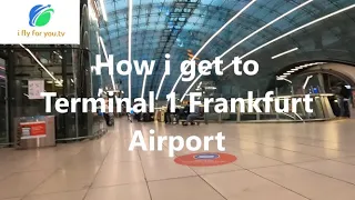 Frankfurt Airport Tutorial | How i get to Terminal 1? Start at Train Station (Fernbahnhof) Transfer