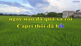 KARAOKE LỜI CHIA XA (Capri C'est Fini) - Tone nữ (lời Việt)